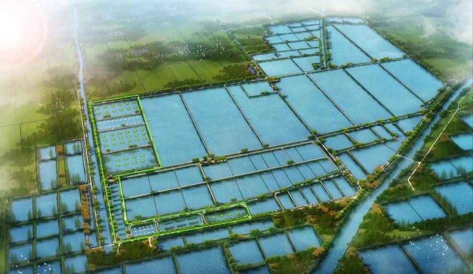 淮安市鄉村振興先導區(qū)漁業(yè)產業(yè)發(fā)展規(guī)劃